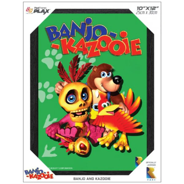Banjo and Kazooie 3D Pixel Frame
