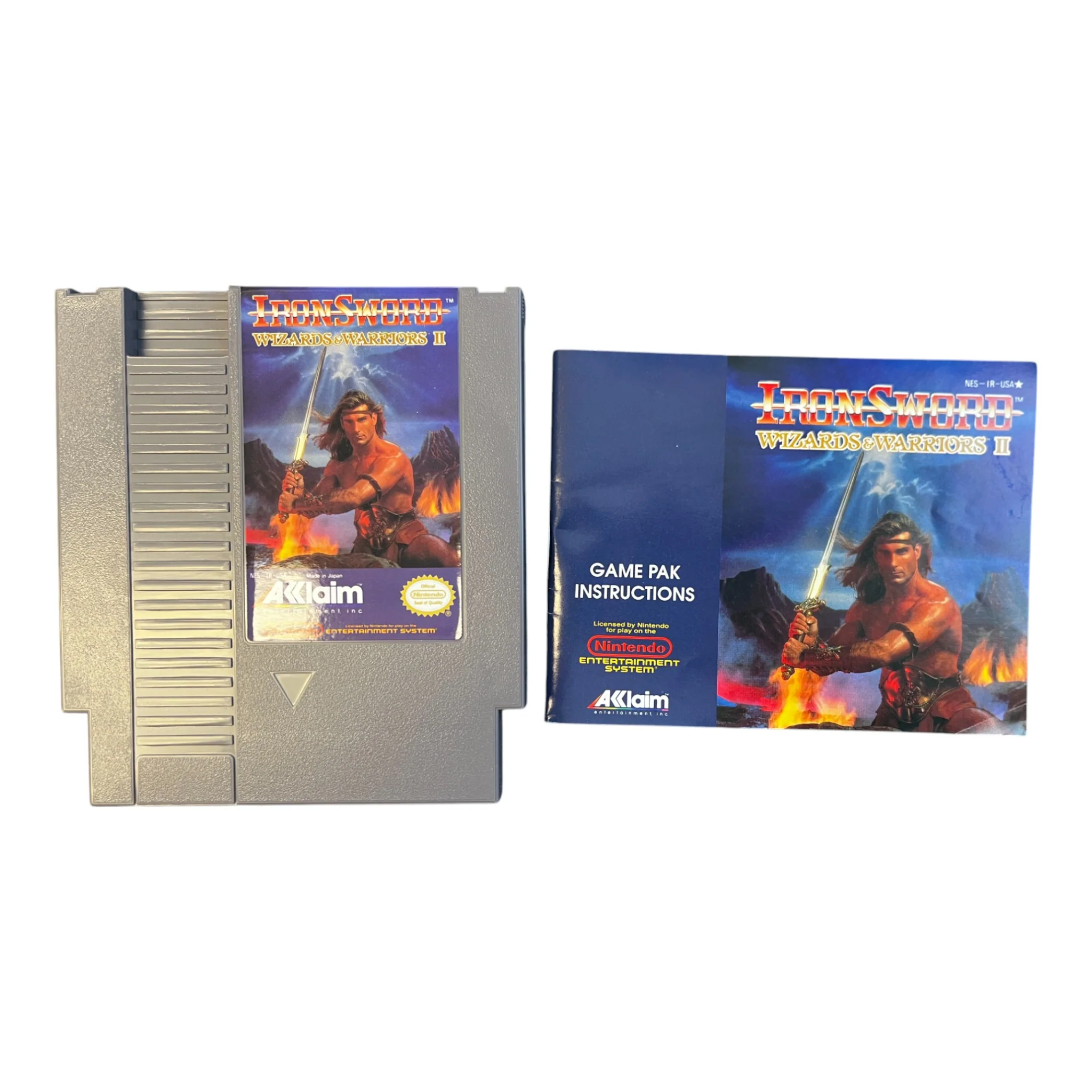 Iron Sword: Wizards & Warriors II (NES) - Image 2
