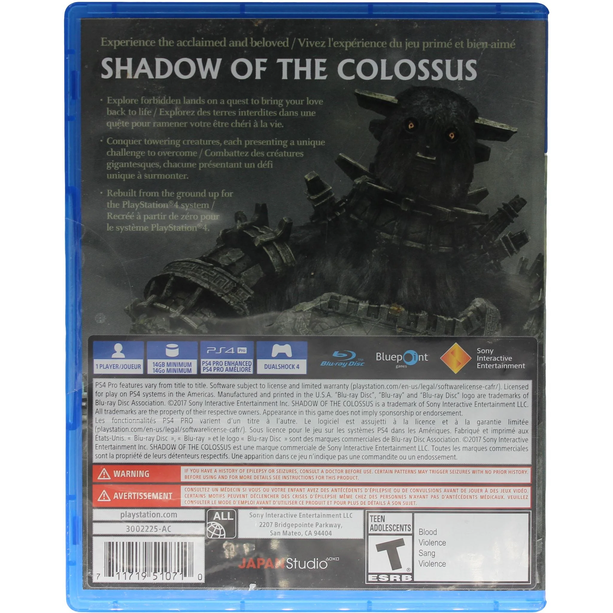 Shadow Of The Colossus (PS4) - Image 2