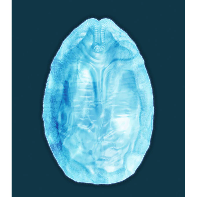 Silicone Ice Tray - Alien Egg - Image 4