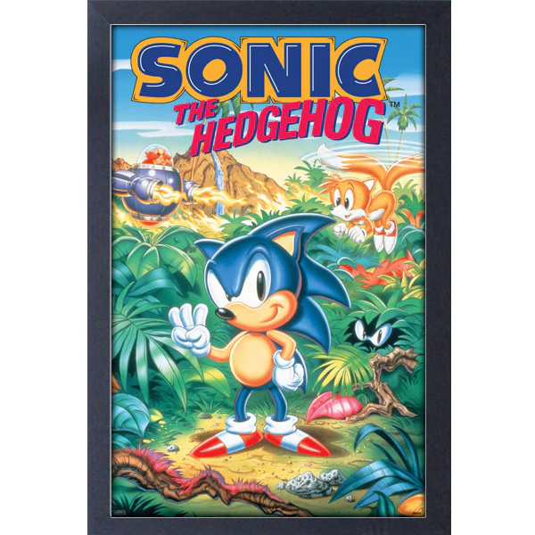 Sonic the Hedgehog 3 Game Cover 11″ X 17″ Framed Print